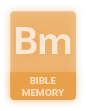 Bm Element